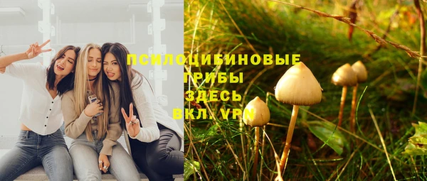 ПСИЛОЦИБИНОВЫЕ ГРИБЫ Армянск
