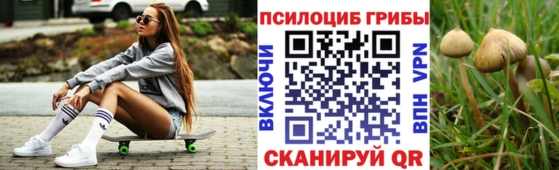 Галлюциногенные грибы прущие грибы  Ульяновск 